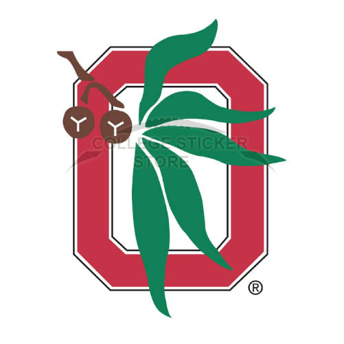 Personal Ohio State Buckeyes Iron-on Transfers (Wall Stickers)NO.5752